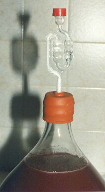 Airlock on carboy